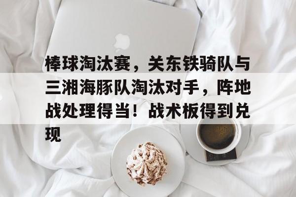 棒球淘汰赛，关东铁骑队与三湘海豚队淘汰对手，阵地战处理得当！战术板得到兑现的简单介绍